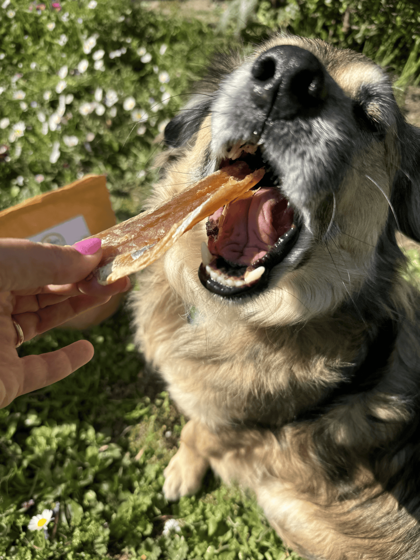 Fishy Snack - Filetti di Merluzzo Essiccati